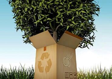 Green packaging materials worth knowing! IKEA, Amazon, Estee Lauder and other brands are using green packaging Green packaging materials worth knowing! IKEA, Amazon, Estee Lauder and other brands are using green packaging